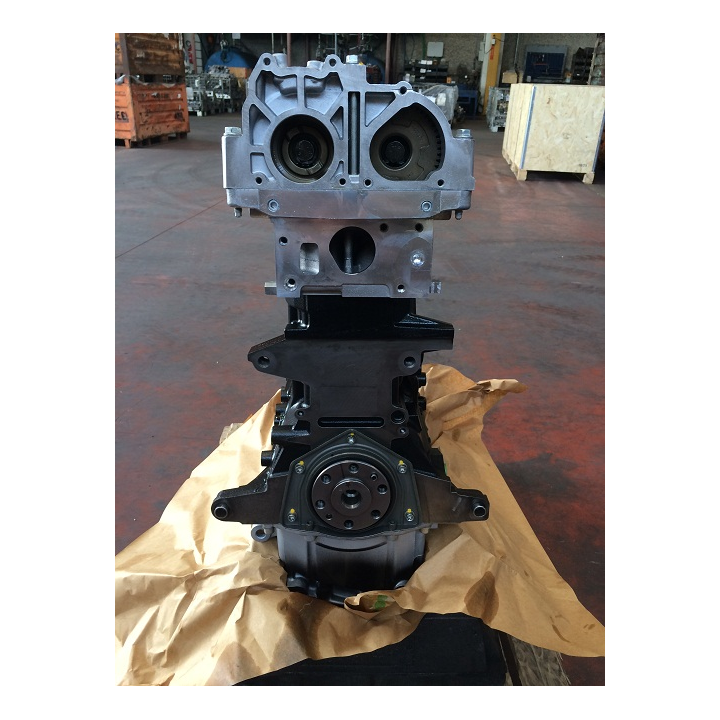 Buy FIAT 2.0 mJTD exchange standard engine