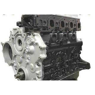 NISSAN 3.0 TD Inj. kaufen Alter.