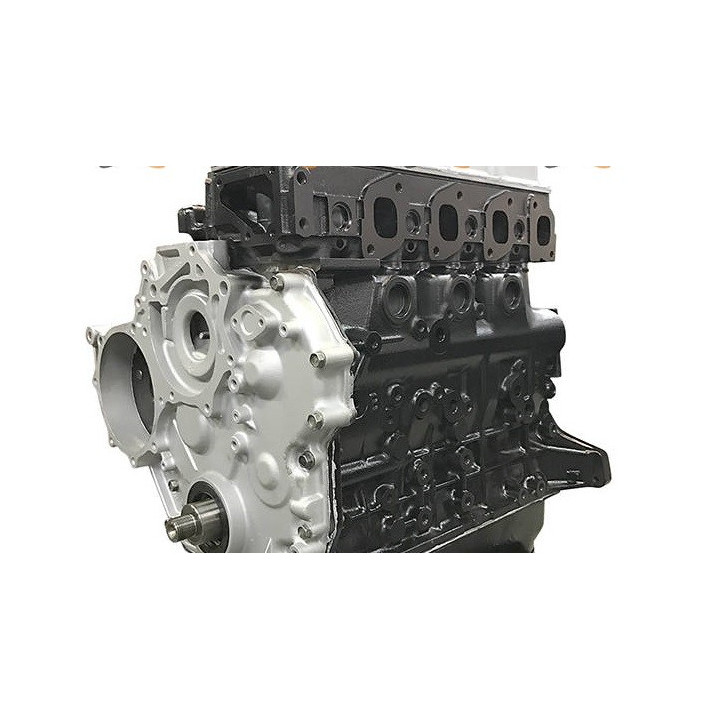 NISSAN 3.0 TD Inj. kaufen Alter.