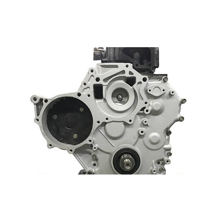 NISSAN 3.0 TD Inj. kaufen Alter.