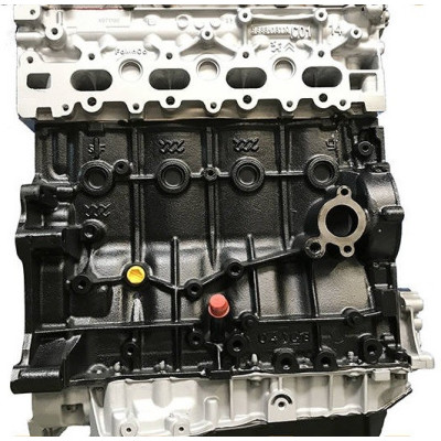 Motore CITROEN 2.0 HDi tipo RHH RH02 AHY DW10CD/CE - Motore diesel nudo in rigenerati