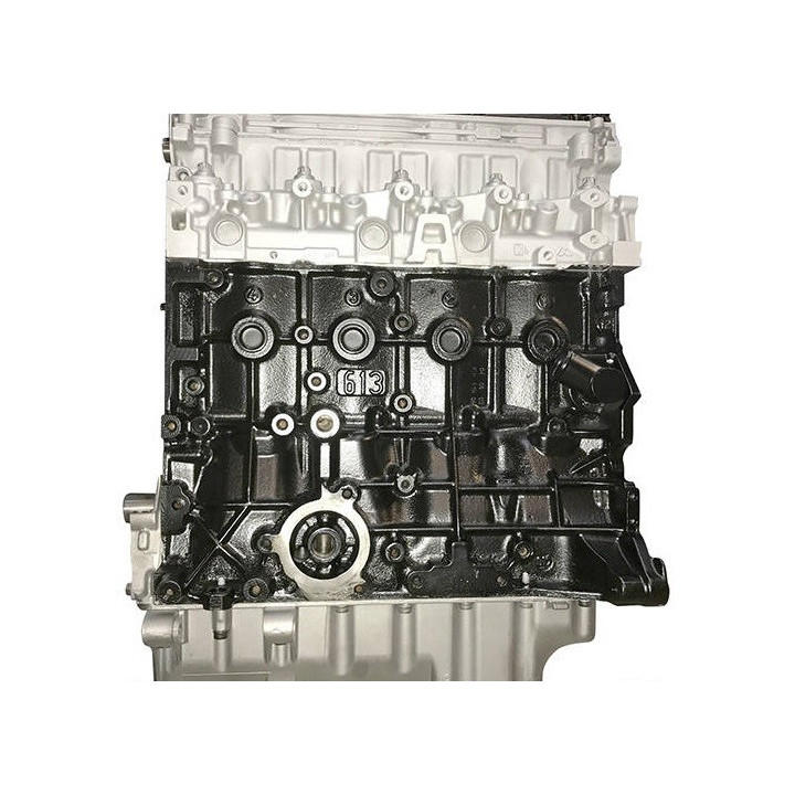 PEUGEOT 2.0 HDi 8v / RHX / RHY / RHZ / kaufen