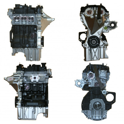 moteur échange standard nu FORD type M2GA