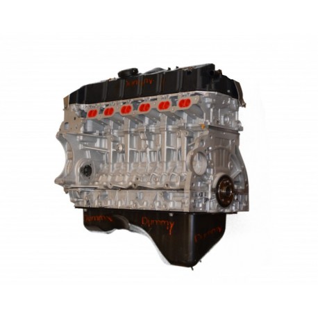 BMW 2.5 exchange standard engine - 256s5 / 256s3 / 256s4