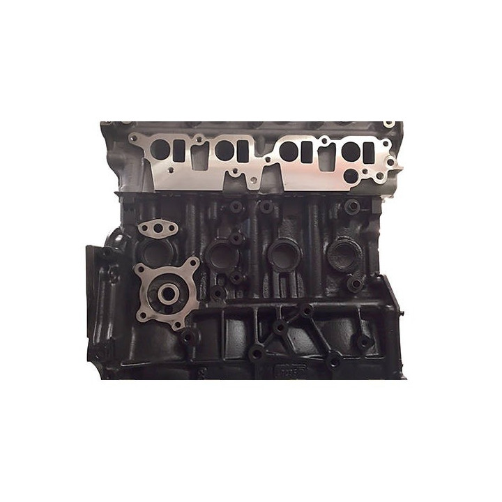 Nissan 2.5 DI YD25 (euro 5) - Diesel engine exchange standard bare without distribution