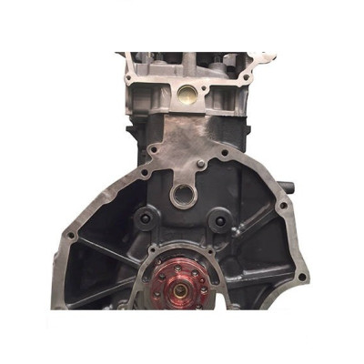 Nissan 2.5 DI YD25 (euro 5) - Diesel engine exchange standard bare without distribution