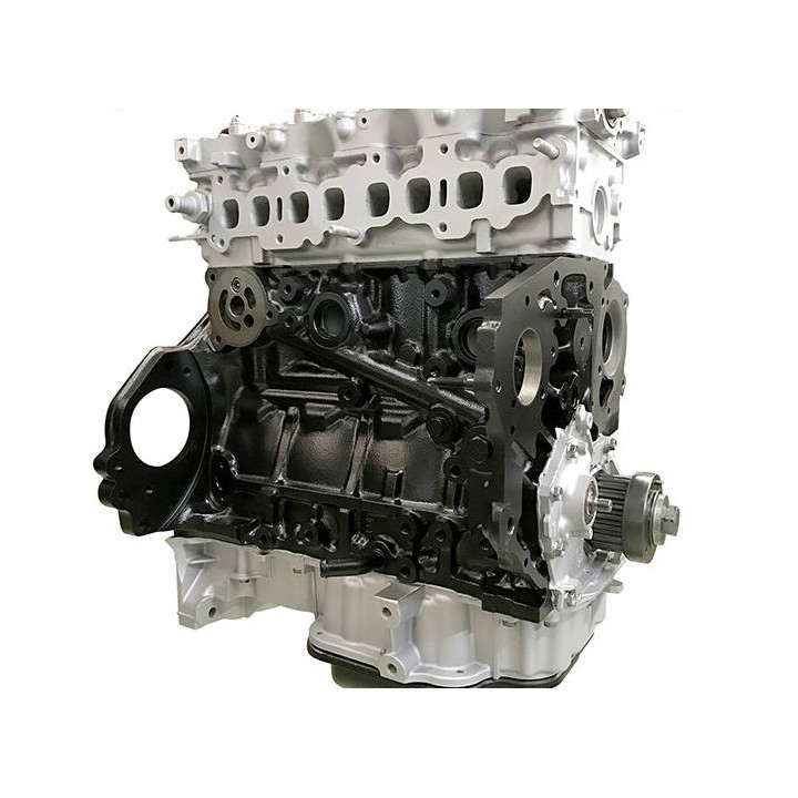 Acquista OPEL 1.7 CDTI Z17DTH, Z17DTL - Motore