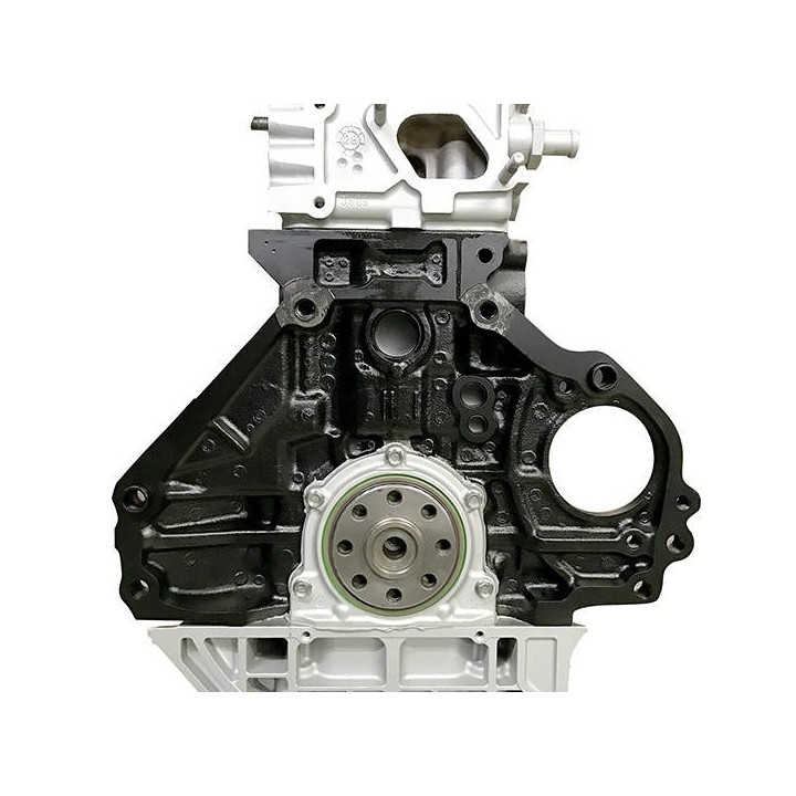 Acquista OPEL 1.7 CDTI Z17DTH, Z17DTL - Motore