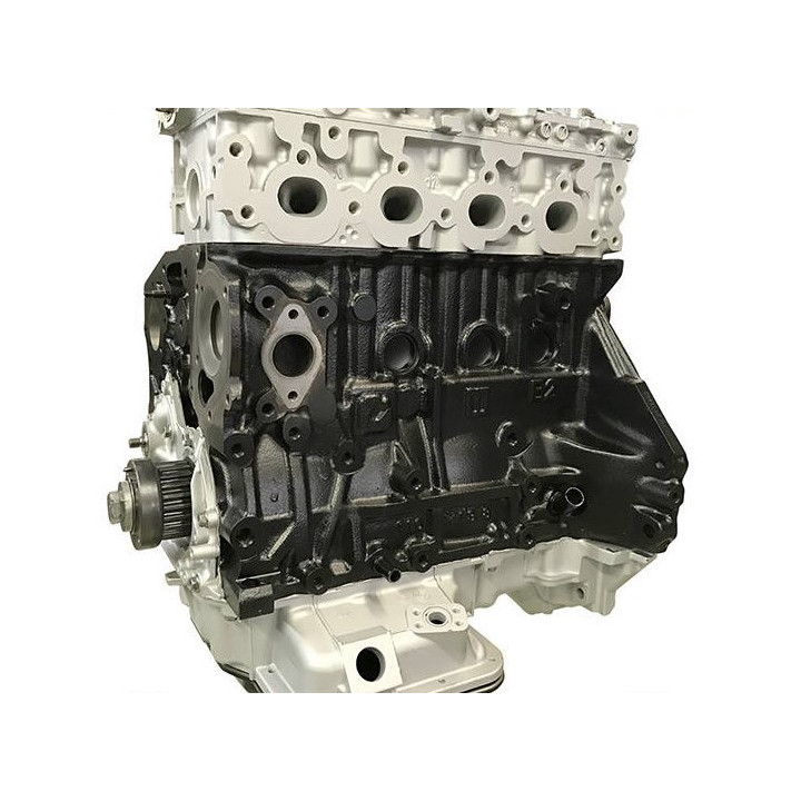 Acquista OPEL 1.7 CDTI Z17DTH, Z17DTL - Motore