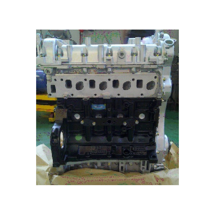 Vendo motore FIAT 1.3 jtd a scambio nudo standard