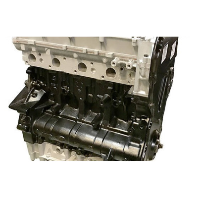 Motore FORD 2.0 TDCI tipo FIFA - Motore diesel standard a scambio nudo