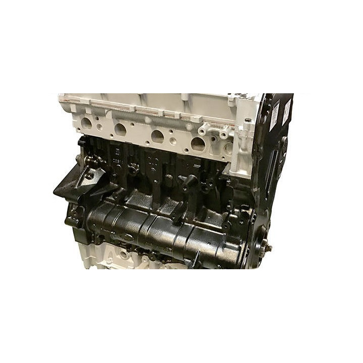 Motore FORD 2.0 TDCI tipo FIFA - Motore diesel standard a scambio nudo