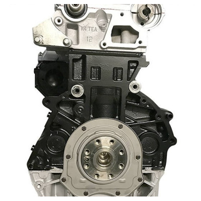 Motor FORD 2.0 TDCI tipo FIFA - Motor diésel de intercambio desnudo estándar
