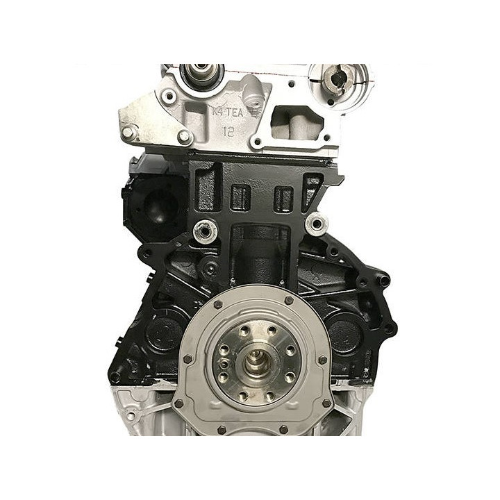 Motor FORD 2.0 TDCI tipo FIFA - Motor diésel de intercambio desnudo estándar