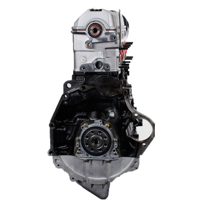 Acquista VOLKSWAGEN 2.5 TDI ACV, motore AXL