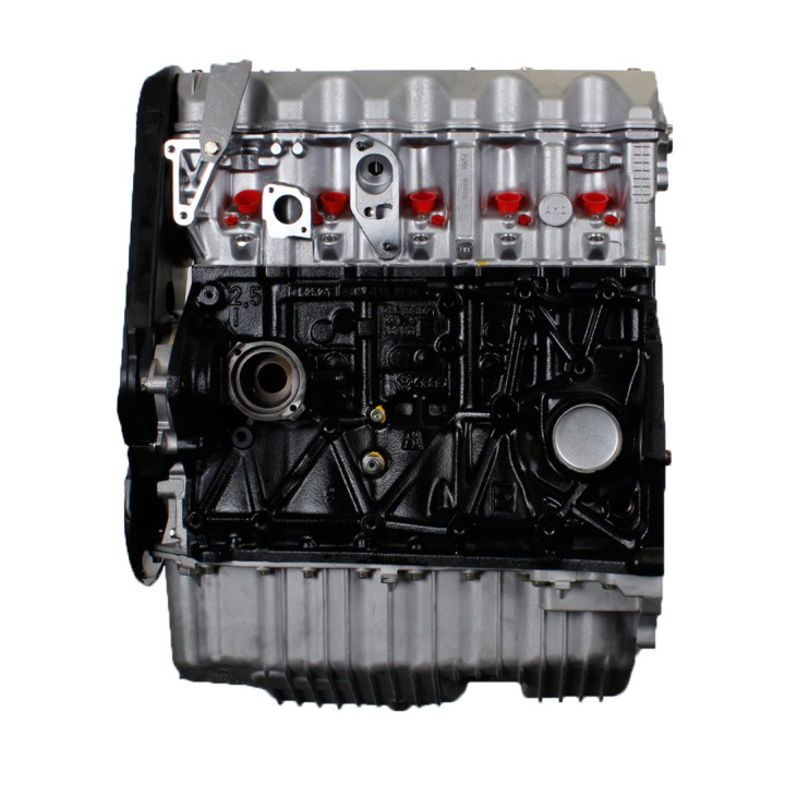 Acquista VOLKSWAGEN 2.5 TDI ACV, motore AXL
