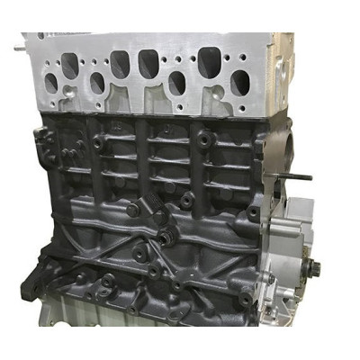 AUDI 1.9 TDI AFN, AHF, AHU, AGR, ALH…. - Sostituzione standard del motore Diesel nudo