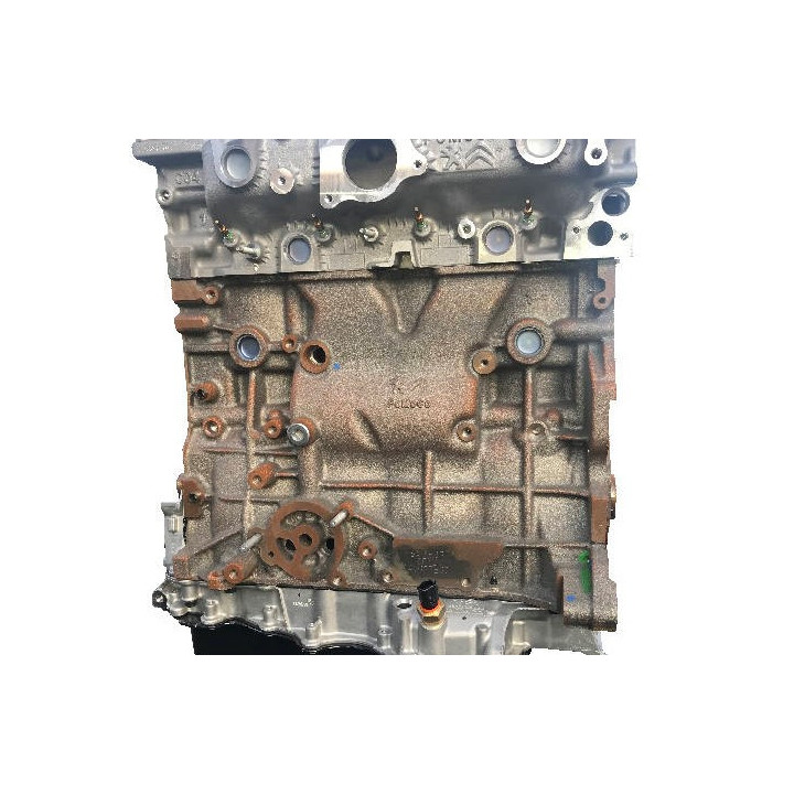 Motore FORD 2.0 TDCI tipo XRMA - Motore diesel nudo a rigenerati