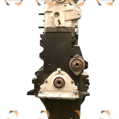 Motor Volkswagen 1.9D tipo 1X/1Y - Motor diésel de reconstruidos desnudo