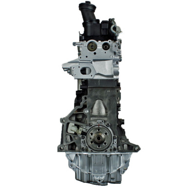 VOLKSWAGEN 2.0 TDi CAA-Motor kaufen -