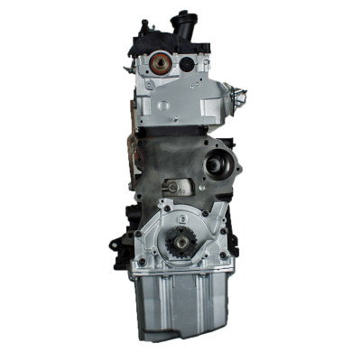 Motor VOLKSWAGEN 2.0 TDi tipo CAA - Motor diésel de intercambio estándar