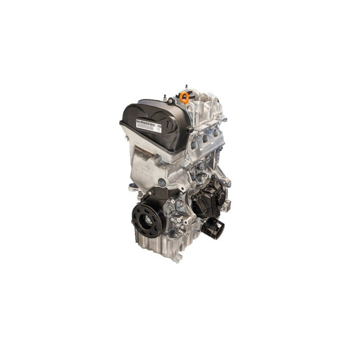 moteur échange standard nu VAG type CHYA