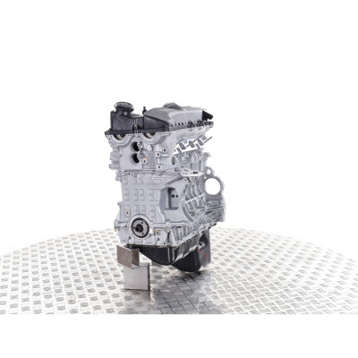 BMW 2.0i Typ N46B20-Motor – Standard-Benzinmotor ohne Austausch
