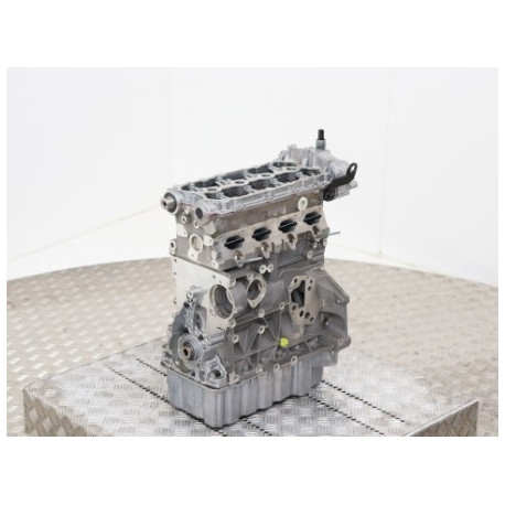 Motor VOLKSWAGEN 2.0 FSi tipo AXW - Motor de gasolina desnudo intercambio estándar