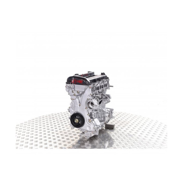 FORD 2.0i FlexiFuel Typ TBBA-Motor – Standard-Benzinmotor ohne Austausch
