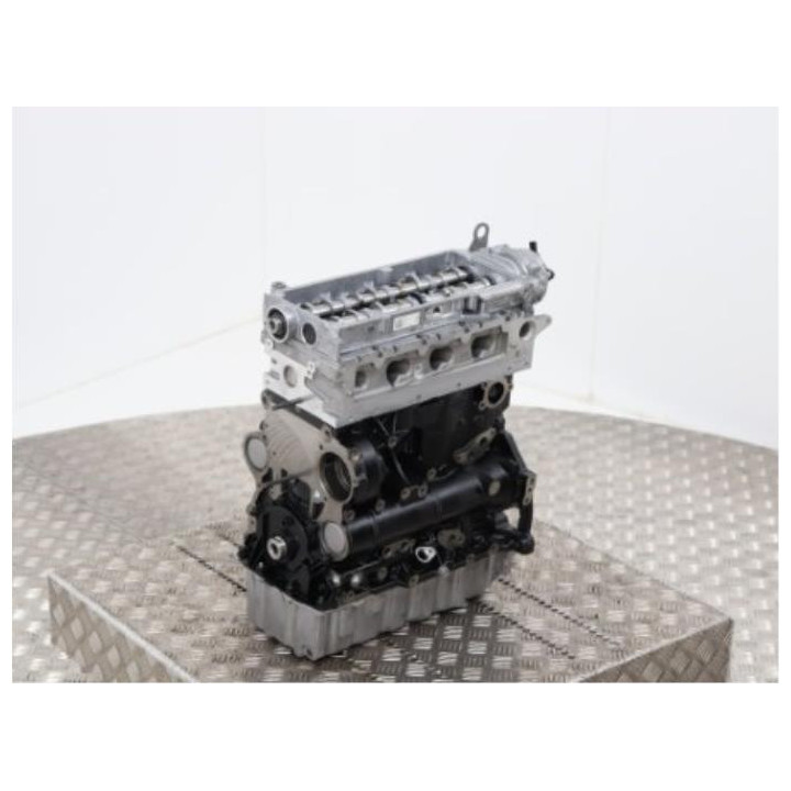Motor VOLKSWAGEN 2.0 TDI tipo DFG - Motor de intercambio estándar desnudo.