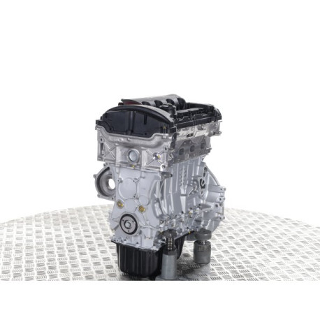 Acheter Moteur PEUGEOT 1.6 i 5F* - Moteur nu