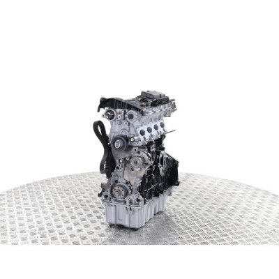 SEAT 2.0 TSI CDL-Motor – Standard-Austausch-Benzinmotor