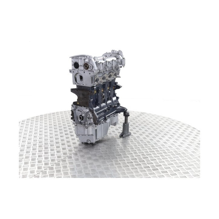 MOTOR DE CAMBIO ESTÁNDAR FORD 1.3 TDCI TIPO 169A1000 - Motor diesel de cambio estándar