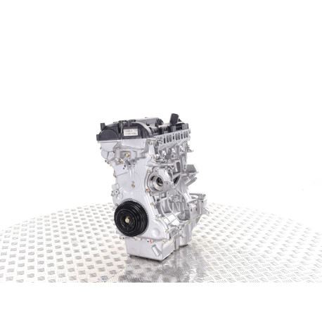 Motor FORD 2.0 EcoBoost Typ TNWA - Motor ohne Zubehör Benzin Austauschstandard