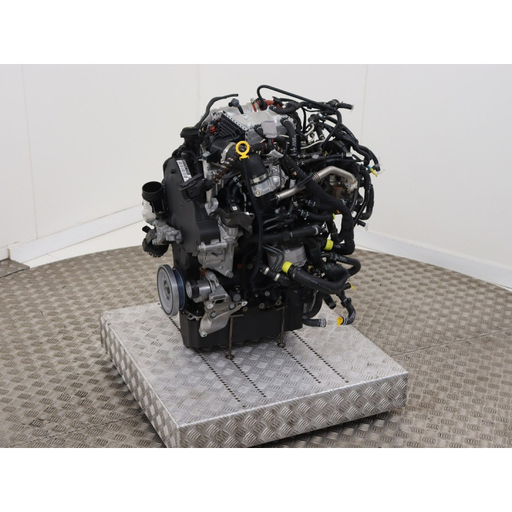 Complete engine VOLKSWAGEN 2.0 TDI type DMZ - Remanufactured diesel engine
