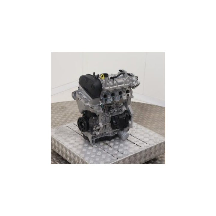 1.4 TSI Motor Typ DJK - Nackter motor Benziner generalüberholt