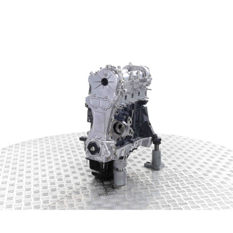Kaufen Sie einen Standard-Naked-Austauschmotor vom Typ FIAT